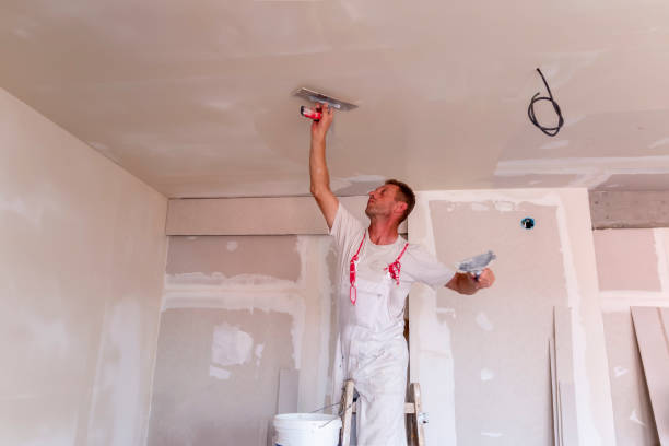 Best Water-Damaged Drywall Repair  in Orida Gulf Coast University, FL